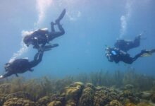 Bonaire divers busy during clean up effort