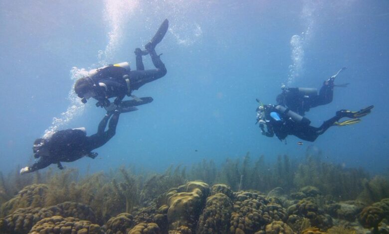 Bonaire divers busy during clean up effort