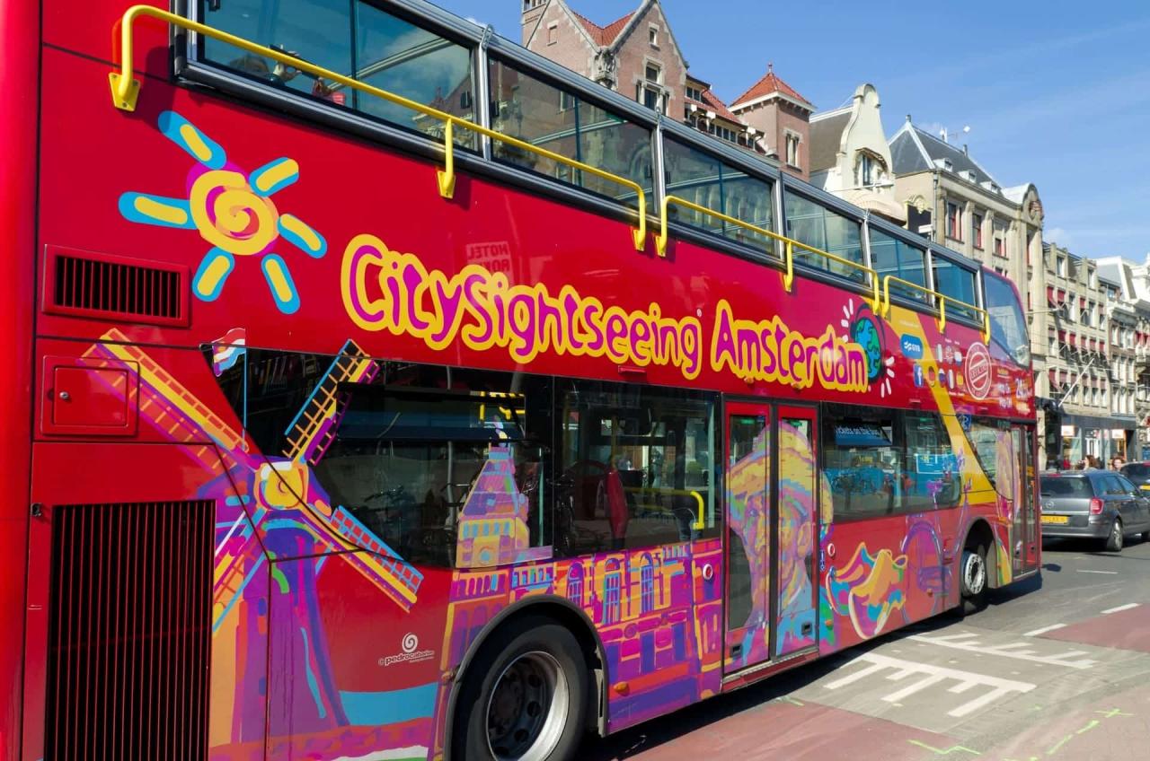Rotterdam amphibious netherlands kinderdijk sightseeing buses klook