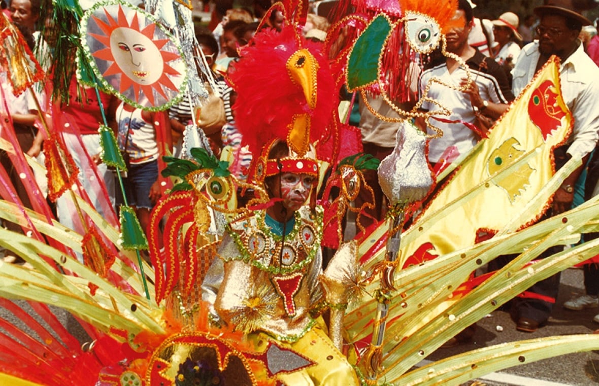 Carnival parader costume