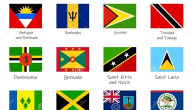 Caribbean trade groups team up to launch marketing company