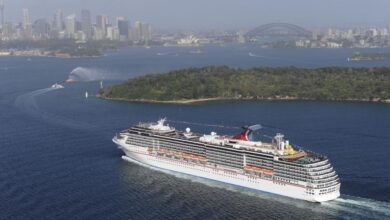 Carnival exec bid for princess not likely