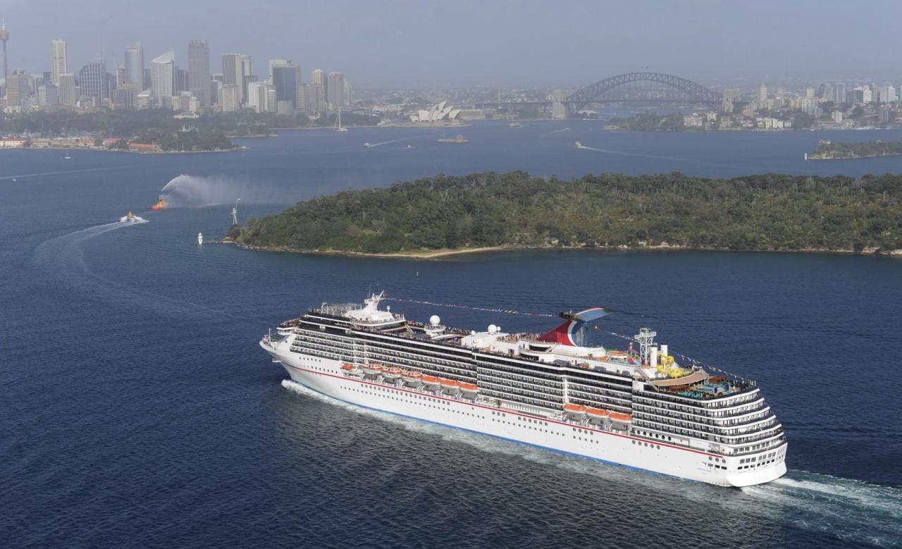 Carnival exec bid for princess not likely