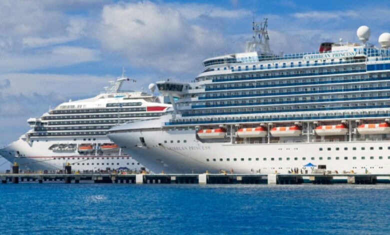 Carnival inks pact with agency network