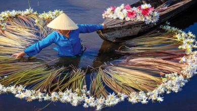 Ama waterways to add mekong river cruise