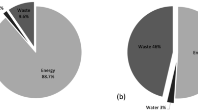 A rationale for tourisms carbon toll