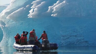 American cruise lines to sail alaska s glacier bay