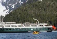 American safari sister line innersea to sail alaska wilderness