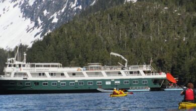 American safari sister line innersea to sail alaska wilderness