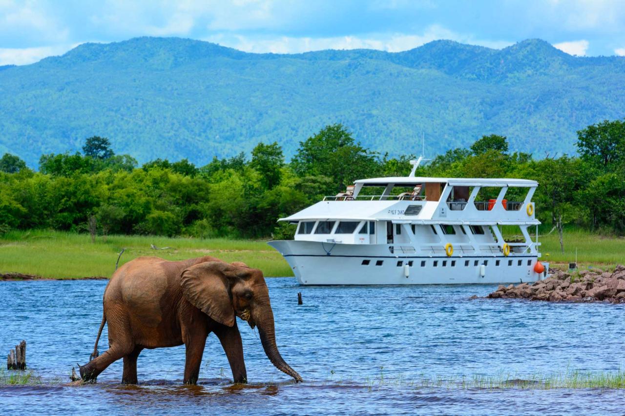 American safari cruises plans expedition line