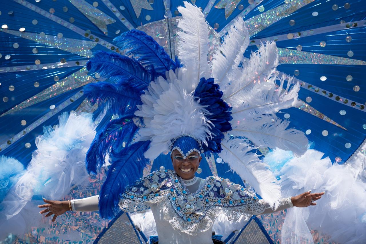 Caribbean bookings boost carnival corp