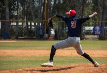 Baseball republic dominican sports training