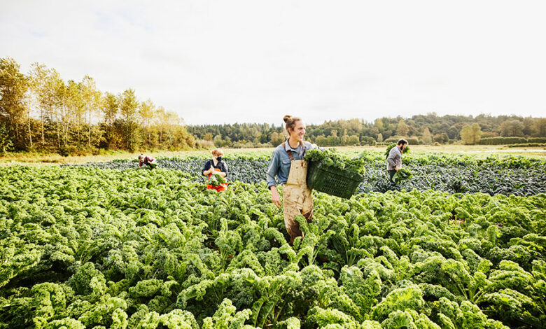 At oo farm cultivating ecofriendly eating habits