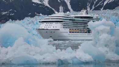 Alaska s glacier bay awards 10 year deals to cruise lines