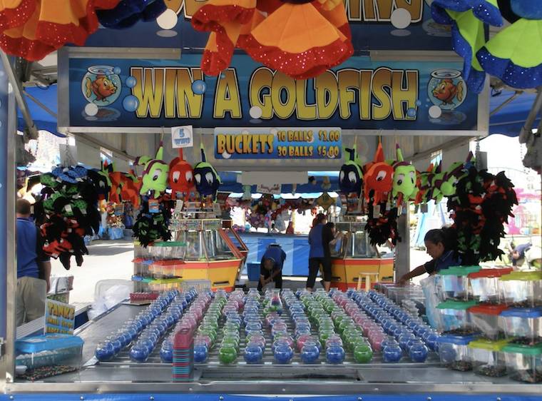 Carnivals arison to donate portion of bonus to katrina relief