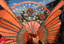 Carnival names its first tour operator of the year
