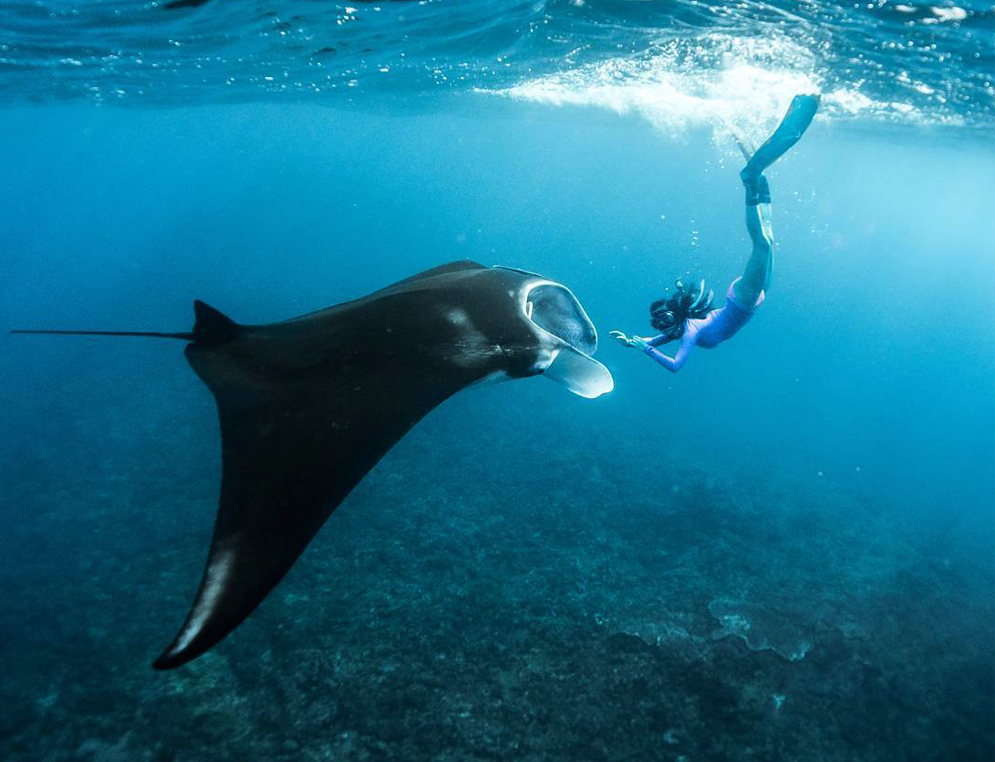 Anxiety then awe on manta ray snorkeling trip