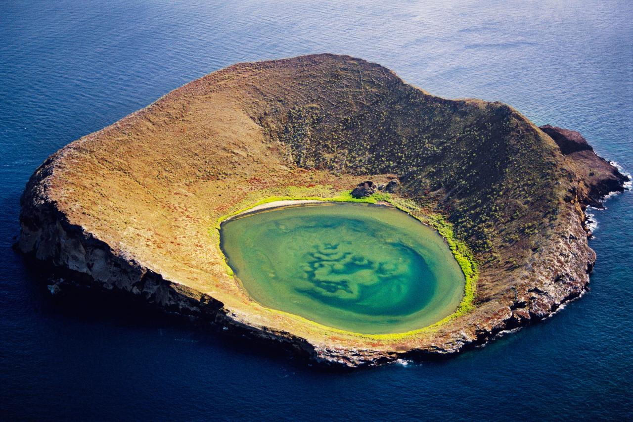 A primer to the galapagos islands