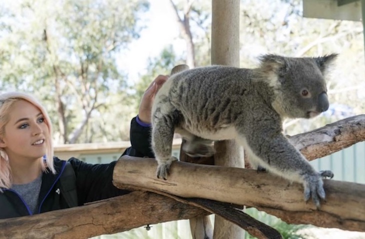 Animal parks offer walks on wilder side of australia