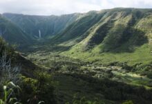 American safari will skip molokai again