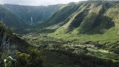 American safari will skip molokai again