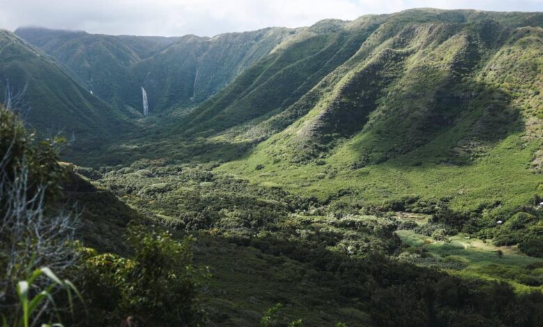 American safari will skip molokai again