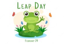 A leap package on leap year