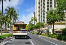 Adventurous visitors can walk the walk near waikiki