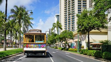 Adventurous visitors can walk the walk near waikiki