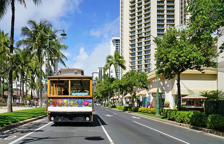 Adventurous visitors can walk the walk near waikiki