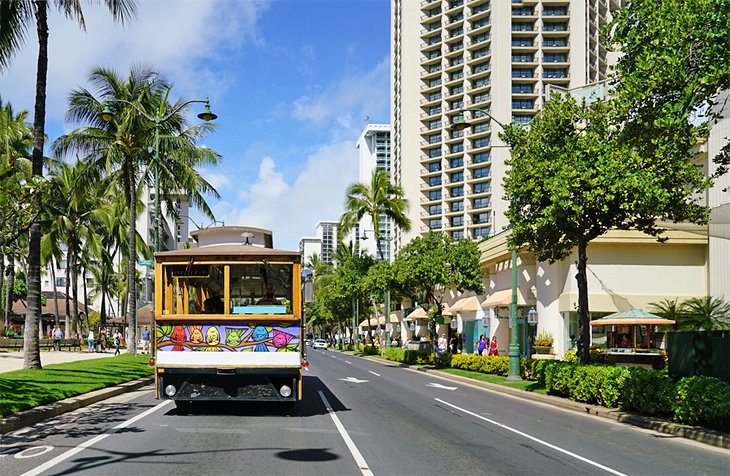 Adventurous visitors can walk the walk near waikiki