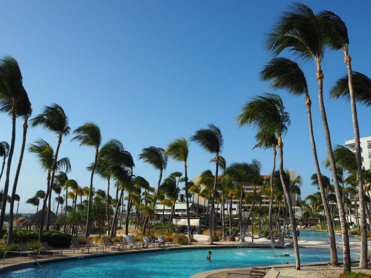 Body mind served with hilton aruba face lift