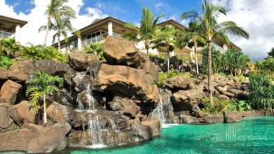 Aquatic activities and more at grand wailea resort