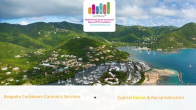 Caribbean nations to raise 60m to market themselves as one