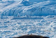 Braving the northwest passage with adventure canada