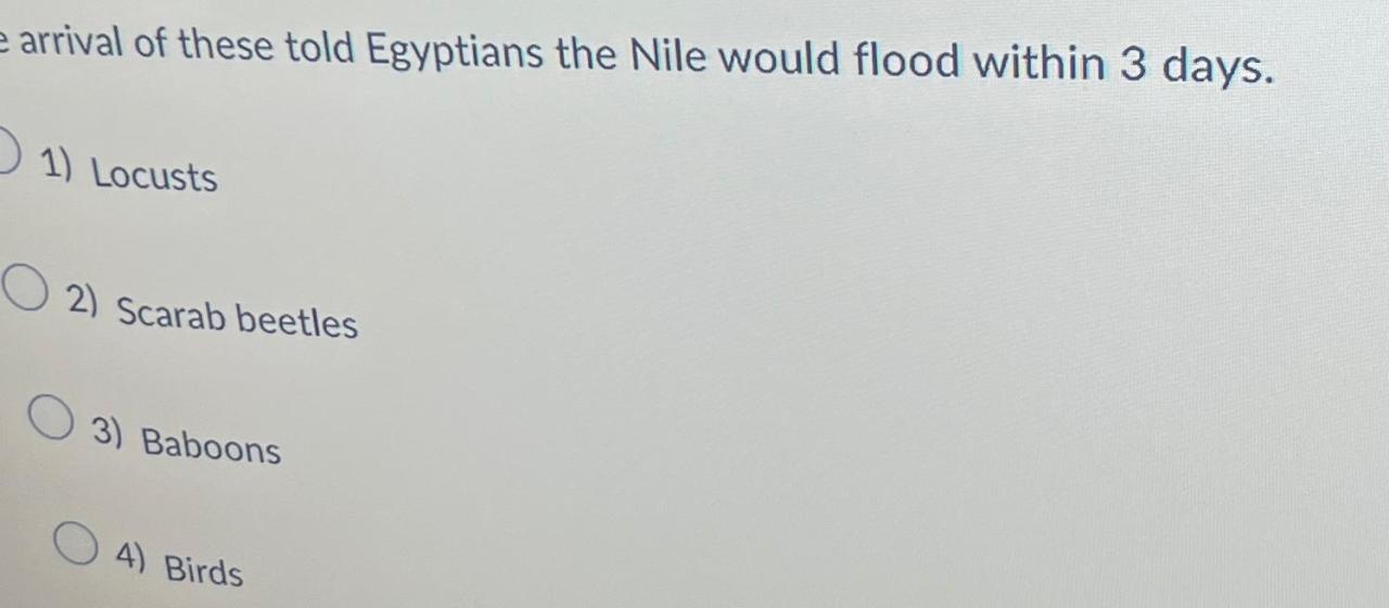 Avalon cancels nile departures as egypt unrest continues