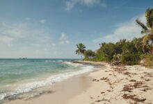 Bahamas and airbnb launch tourism initiative