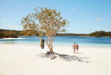 Australias sandy fraser island an ecotourism eden