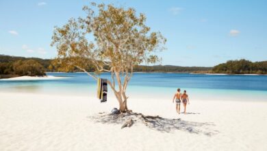 Australias sandy fraser island an ecotourism eden