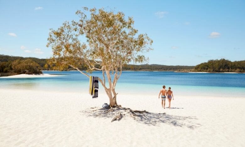 Australias sandy fraser island an ecotourism eden