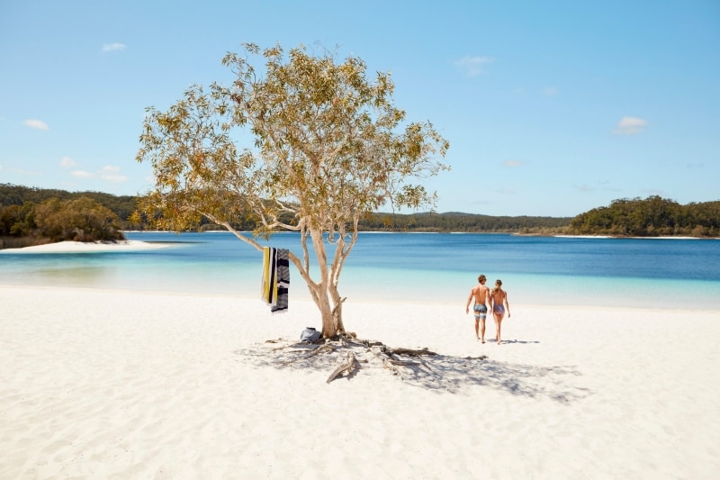 Australias sandy fraser island an ecotourism eden