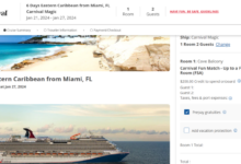 Carnival bans cash equivalent booking incentives