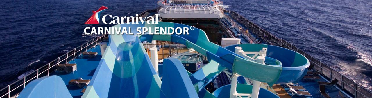 Carnival splendor s power knockout perplexes marine experts