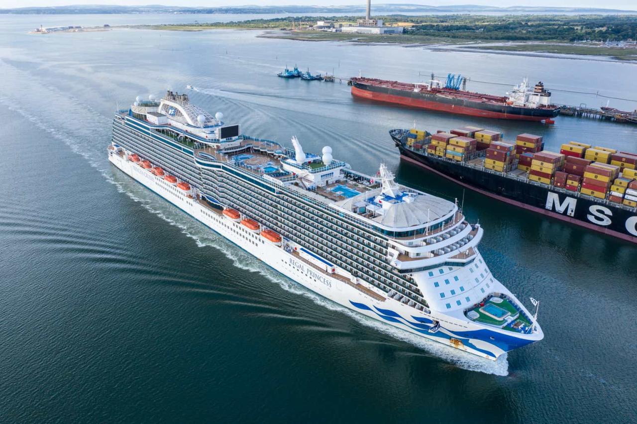 Carnival corp earns 252m in q2