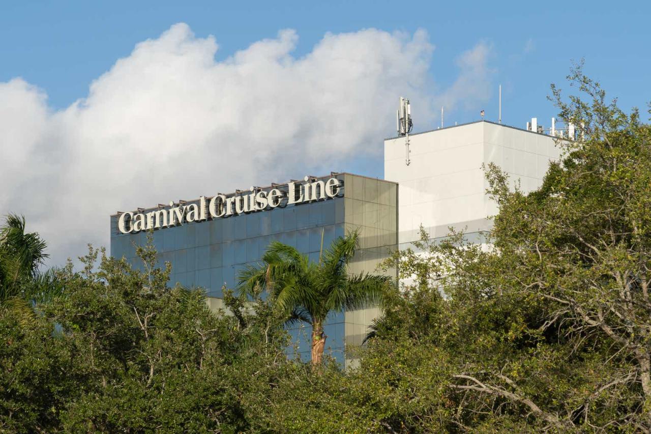 Carnival new billion dollar stock issue