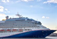 Carnival corp says 17 of sales were direct last year