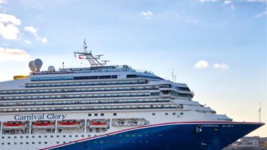 Carnival corp says 17 of sales were direct last year