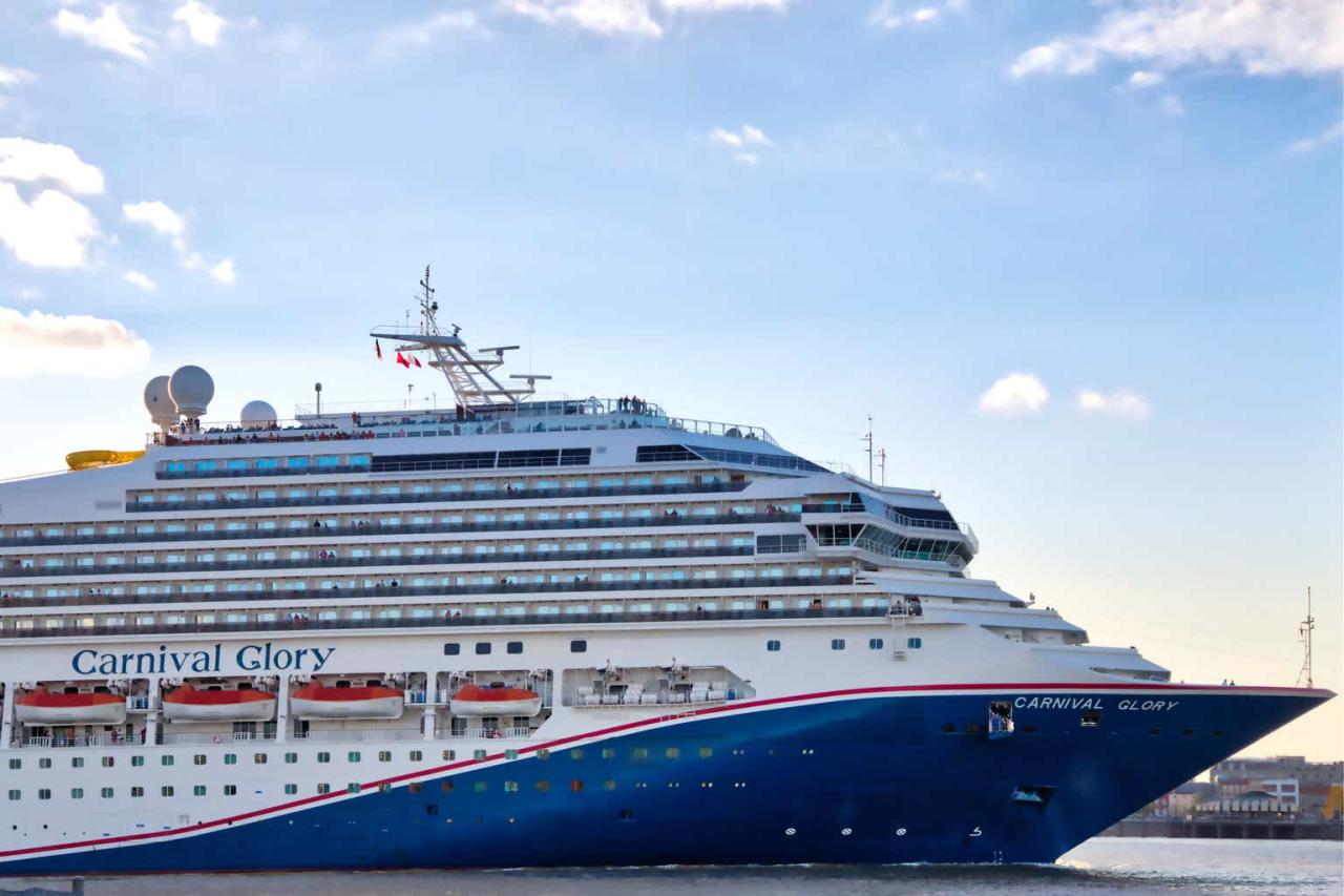 Carnival corp says 17 of sales were direct last year