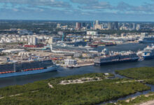 Allure of the seas helps port everglades boost traffic