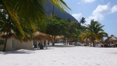 Bungalows open at jalousie plantation